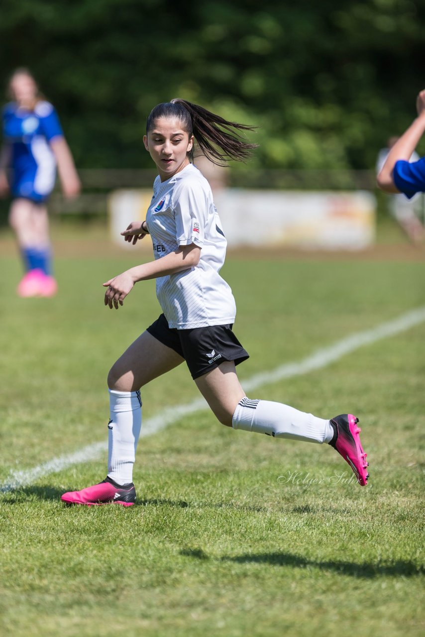 Bild 199 - wBJ VfL Pinneberg - Harksheide : Ergebnis: 2:1